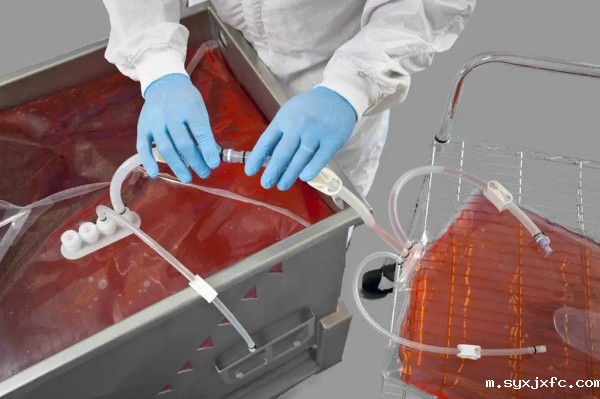 一次性生物容器